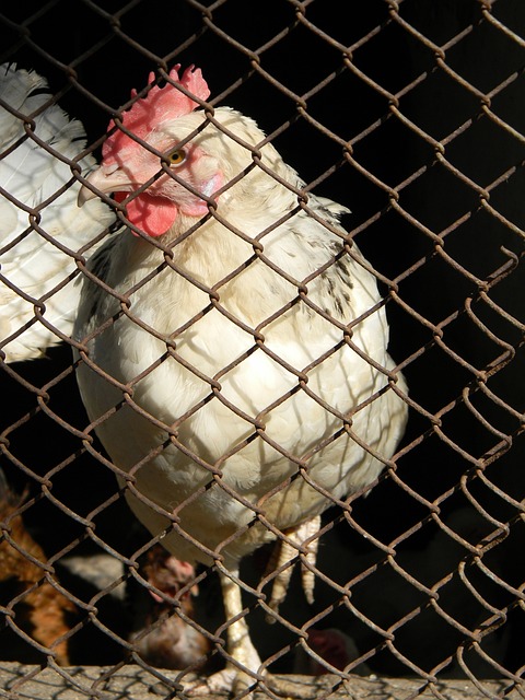 团队必将在 团队必将在