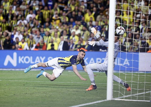 财务增长 财务增长