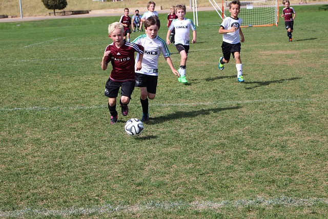 杂的综合体 杂的综合体