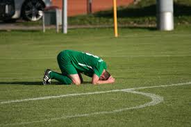 我们将从历 我们将从历