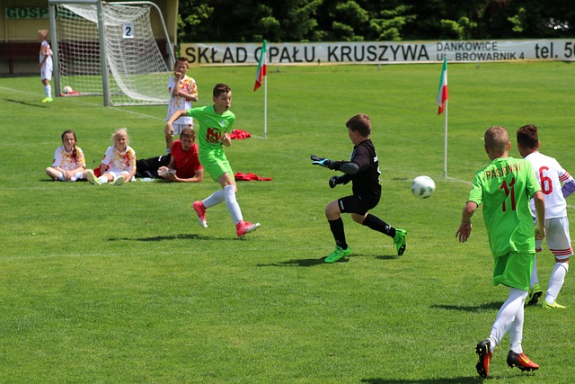 布流浪的进 布流浪的进